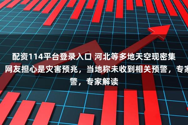 配资114平台登录入口 河北等多地天空现密集鸟群，网友担心是灾害预兆，当地称未收到相关预警，专家解读