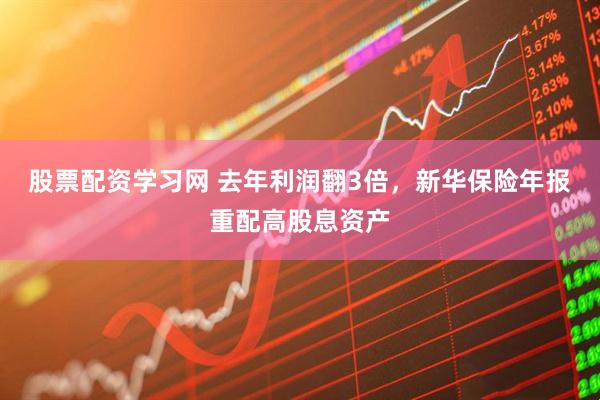 股票配资学习网 去年利润翻3倍，新华保险年报重配高股息资产