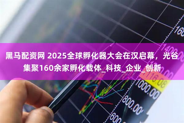 黑马配资网 2025全球孵化器大会在汉启幕，光谷集聚160余家孵化载体_科技_企业_创新
