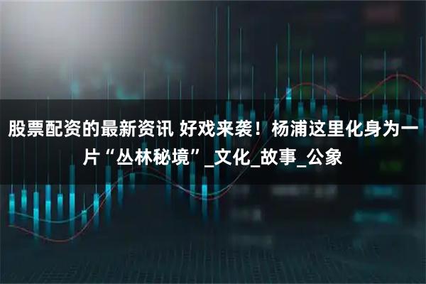 股票配资的最新资讯 好戏来袭！杨浦这里化身为一片“丛林秘境”_文化_故事_公象